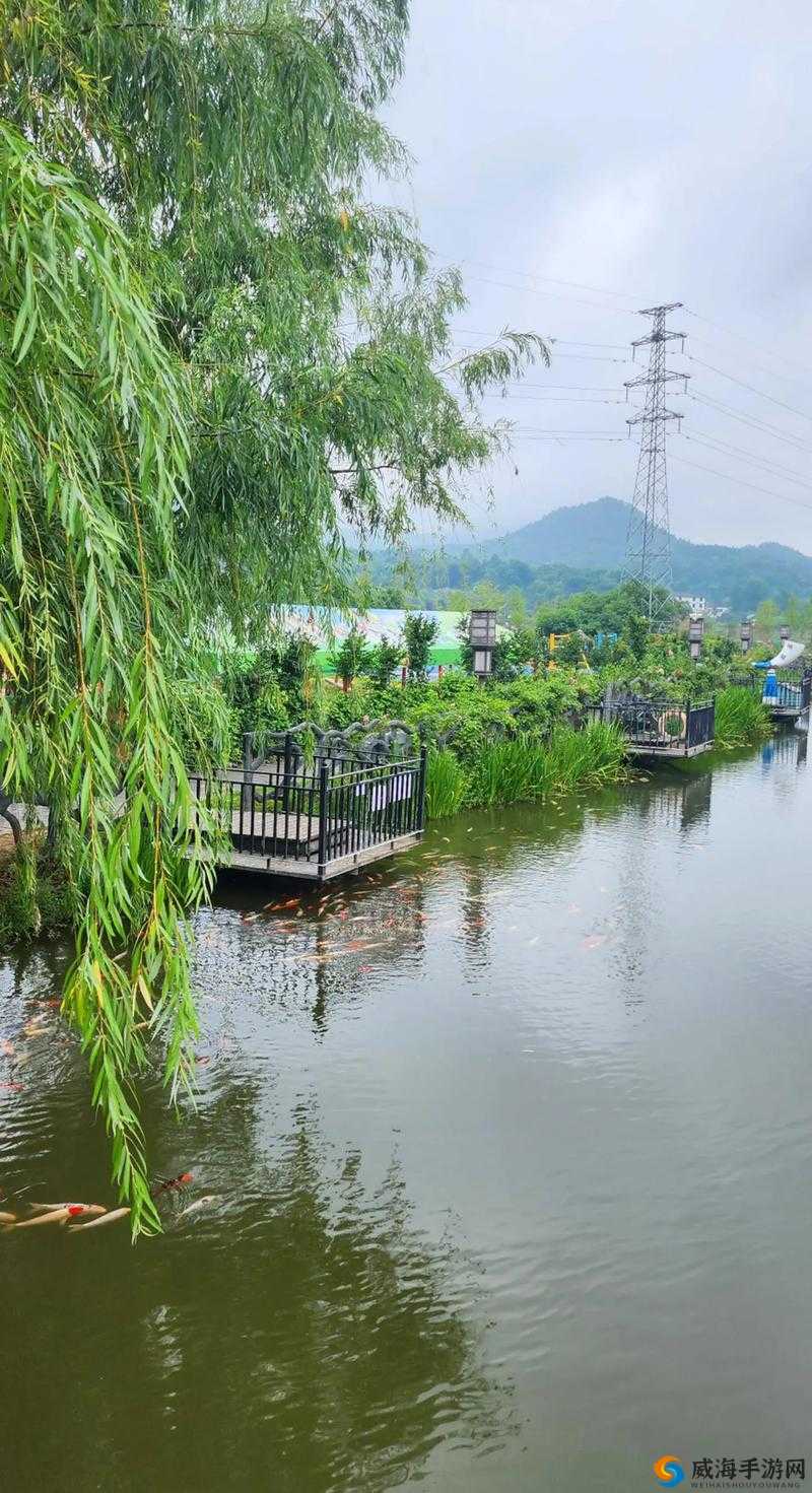 老镖客城中村最火的一句：人生就像一场旅行，不在乎目的地，在乎的是沿途的风景和看风景的心情