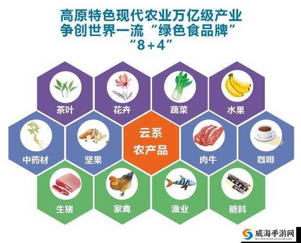 991 精产三产区区别特点剖析