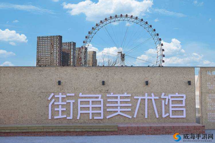 国产 OOOOOXXXXX 天美：传承中华文化的匠心之作