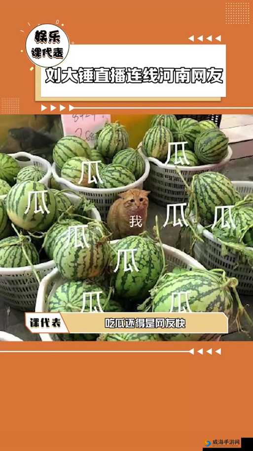 51 吃瓜今日热门大瓜与 2024 国产网站重合- 一场视觉盛宴即将开启
