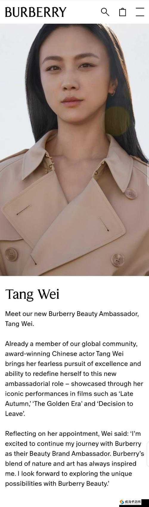 BURBERRY 中文免费版：时尚魅力无限