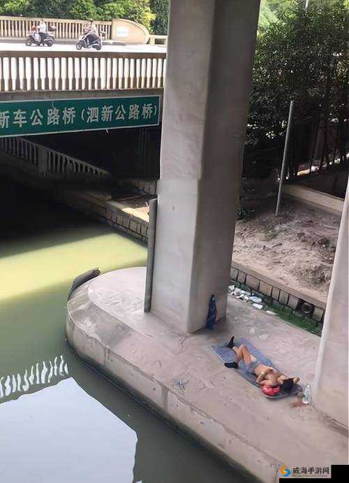 流浪汉拉我进桥底免费阅读:流浪汉的神秘邀请