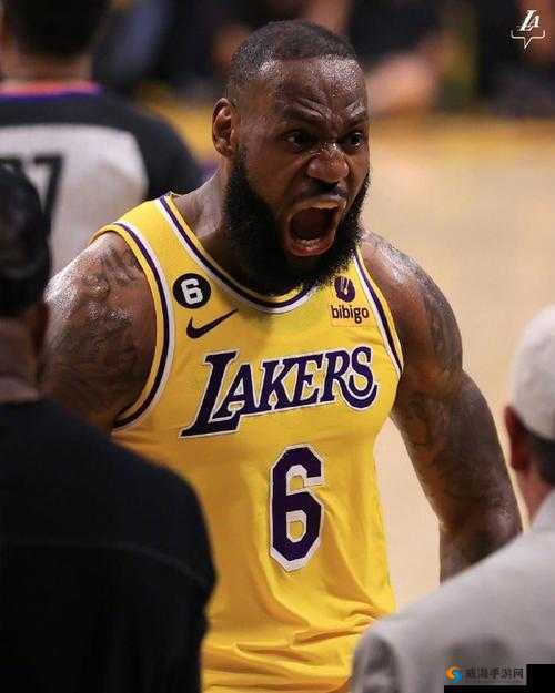 免费观看 NBA 高清直播咆哮视频，精彩不容错过