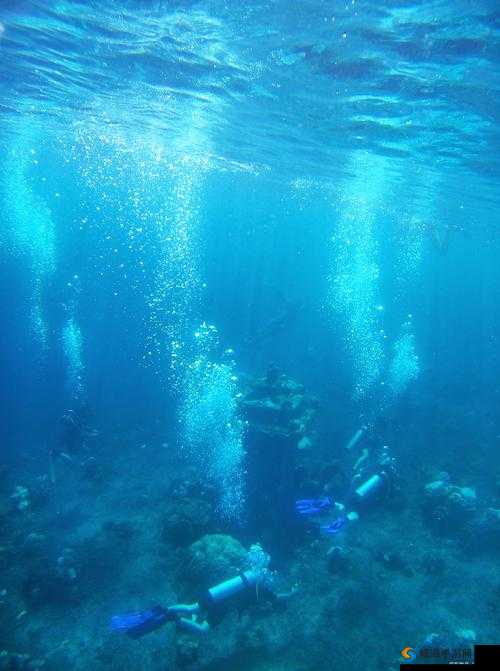 以太深了高潮三次为中心-探究深海生物的奥秘