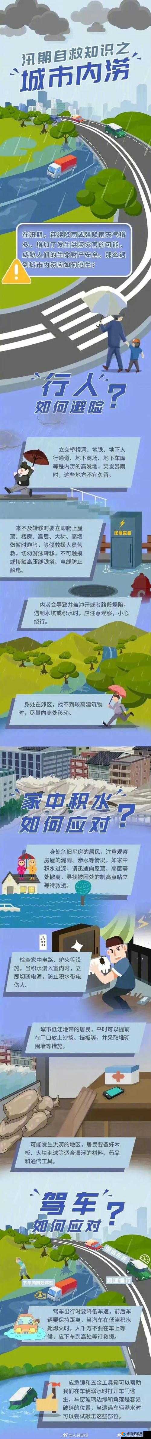 动物森友会赝品应对指南：识别与处理赝品的策略攻略