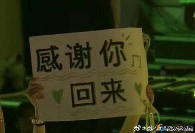 619Y 你会回来感谢我：这是为何
