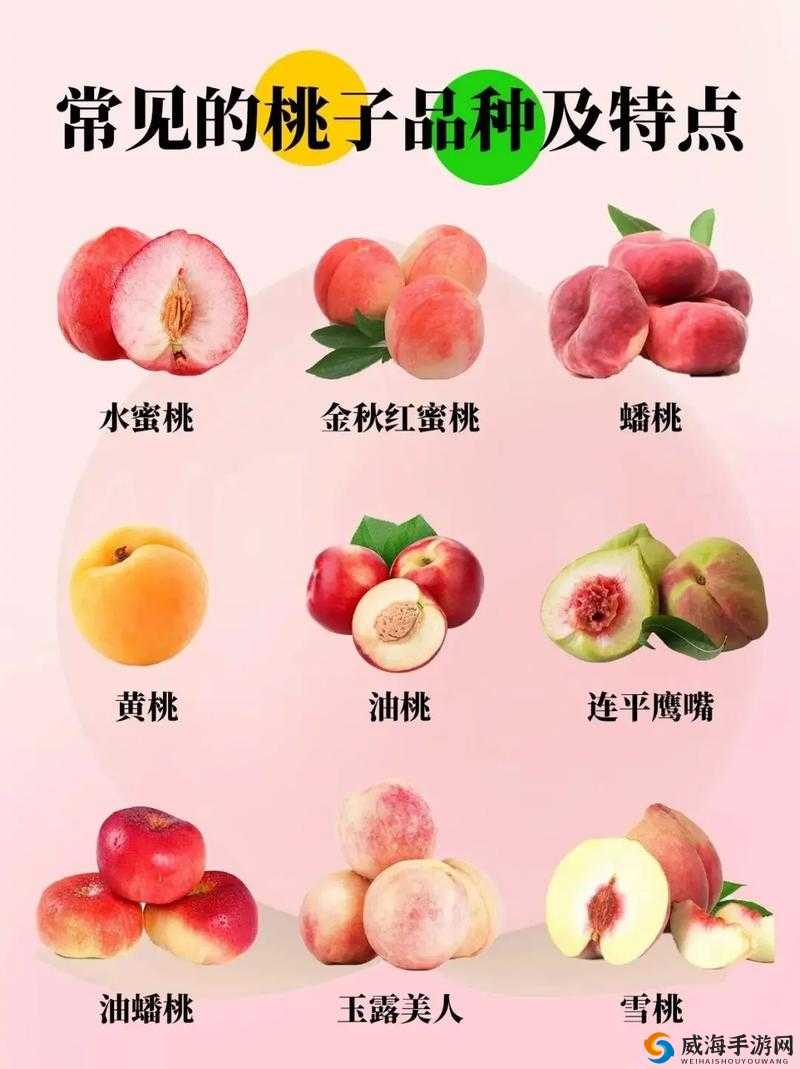国精产品水蜜桃 hd：多汁甜美的水果选择