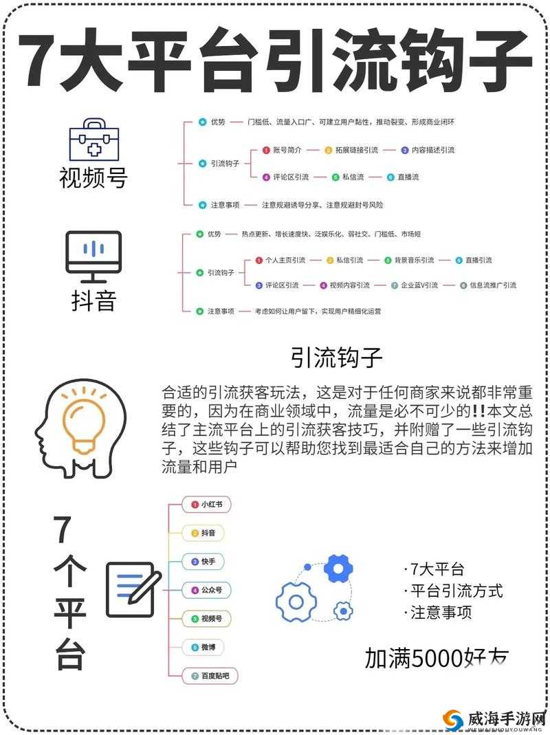 seo 短视频网页入口引流：提升网站流量的关键技巧