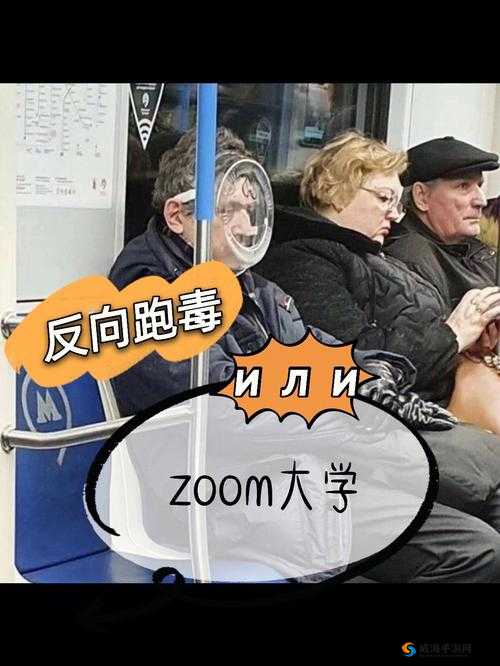 ZOOM 人牛 ZOOM 俄罗斯：相关探讨