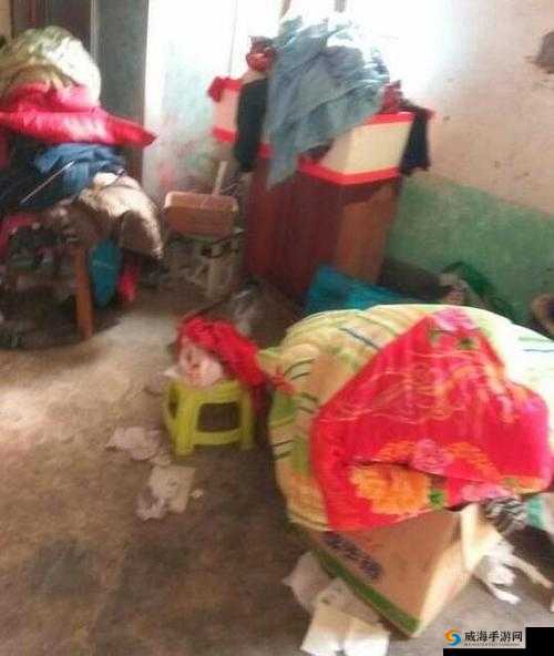 农村乱辈现象引发关注：乱辈无码引争议