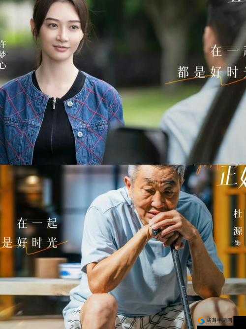 日韩和的一区二区区别是什么:深入剖析