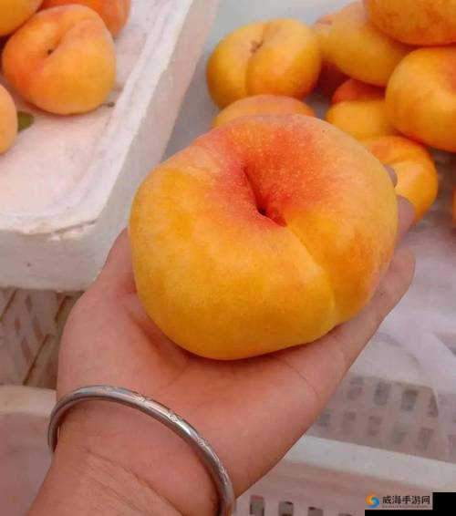9612 黄桃视频入口页面:提供全面破解资源