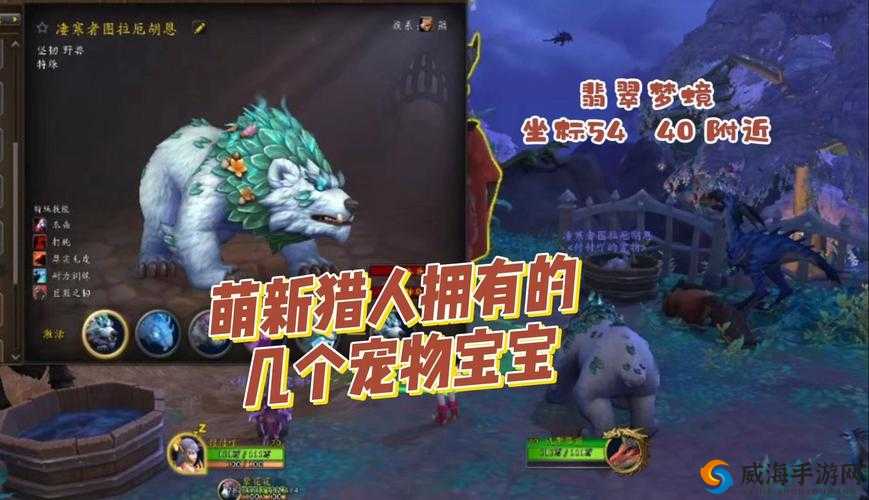 魔兽世界 90 版本全新小宠物紫鹤 独特之处与详细介绍