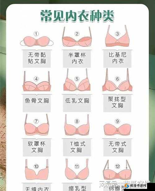 大学生生活指北：实用指南与贴心建议