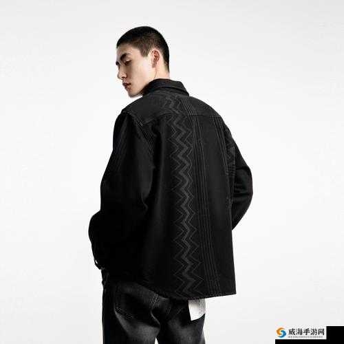 欧亚尺码专线欧洲 B1B1 服务：便捷高效运输之选