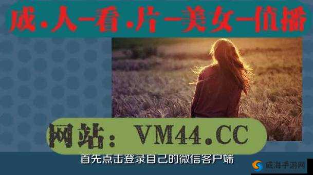 夜里 100 种禁用的视频软件大全:你必须知道的事