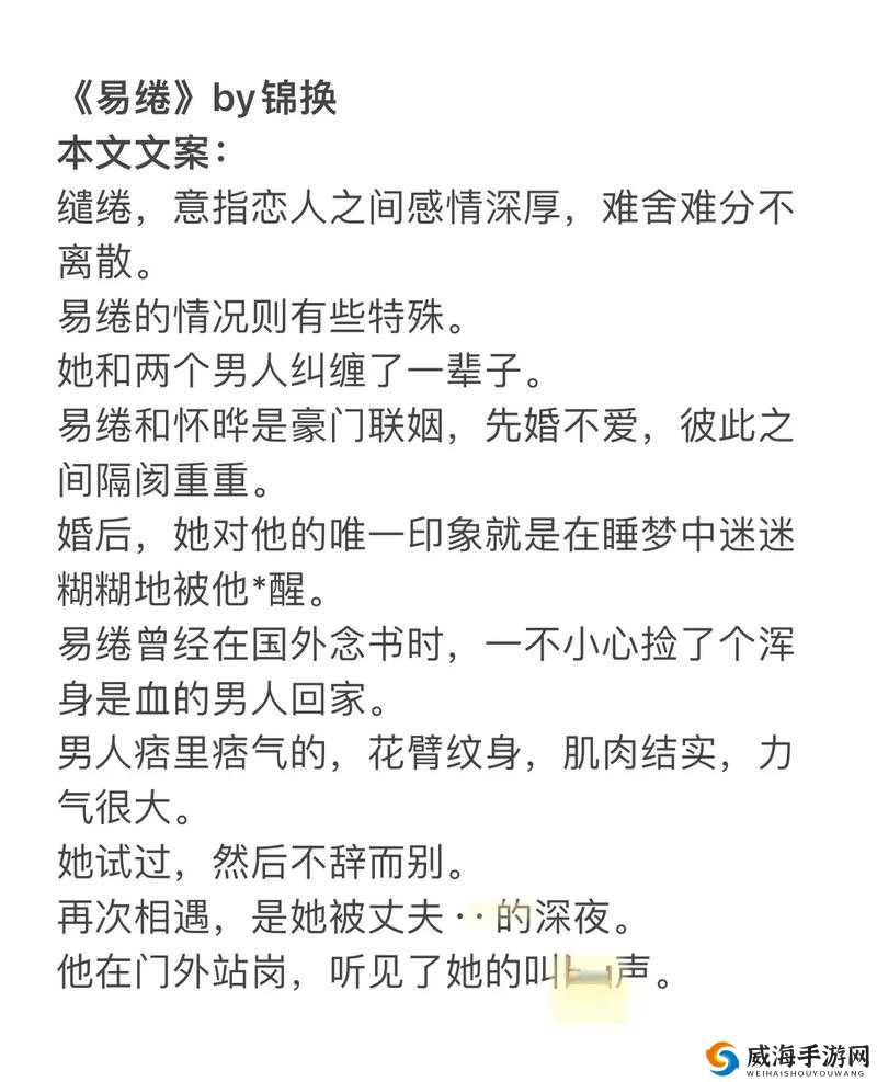 双夫 1v2 现代：一场特别的情感纠葛