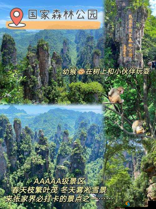 如果你已满 18 请点击：开启精彩之旅