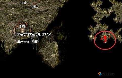 秘密通道如何出去：探寻出去之法