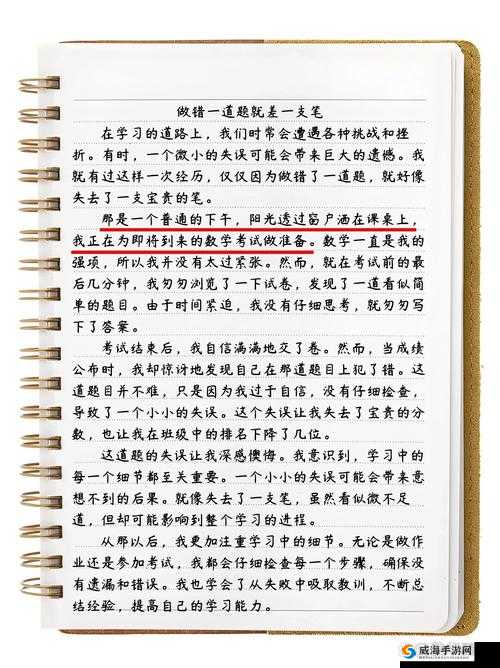 做一道题插一支笔怎么写：方法解析