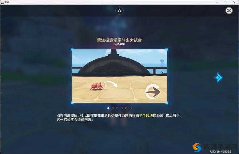 原神荒泷极意堂堂斗虫大试合超详细攻略秘籍全揭秘