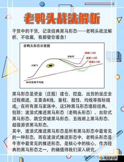 蛋国志斯巴达攻略：属性详解与实战用法解析