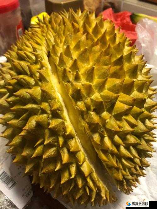 ll999 榴莲：让你流连忘返的美味之选