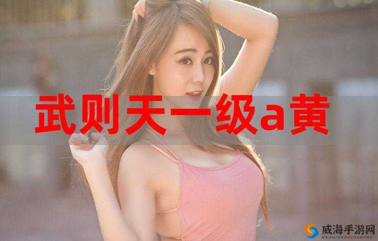 三年片在线观看免费观看大全一在哪里的优质观看渠道