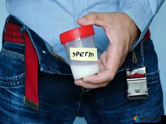 精二和精三的区别：深度解析与对比