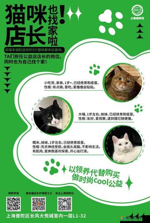微信公众号菜单栏领养大喵福利揭秘:免费获取独家游戏攻略与道具,qj专属大礼包等你来领