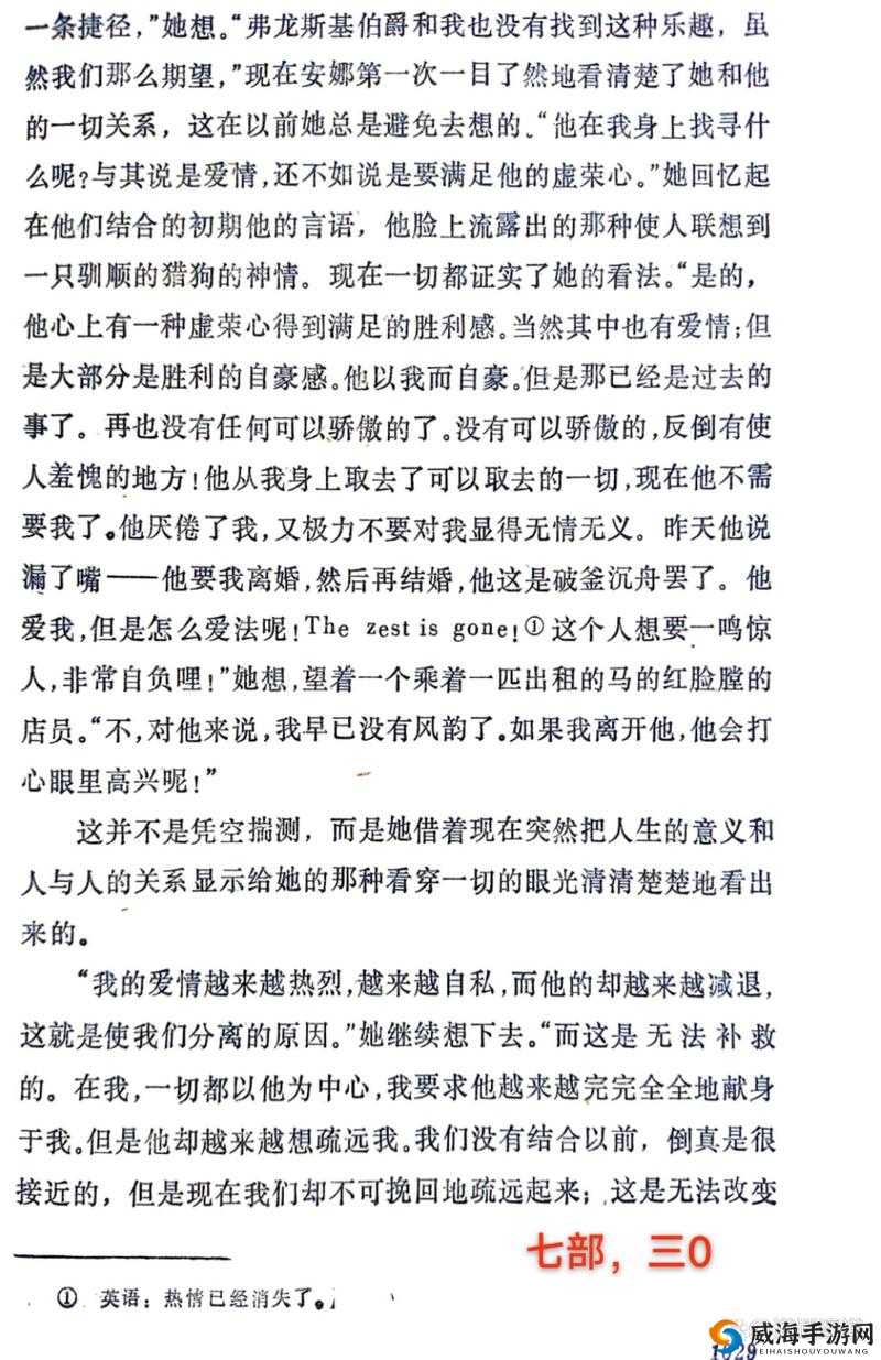 关于安娜 Anna汉化菜单翻译的独特呈现与解读