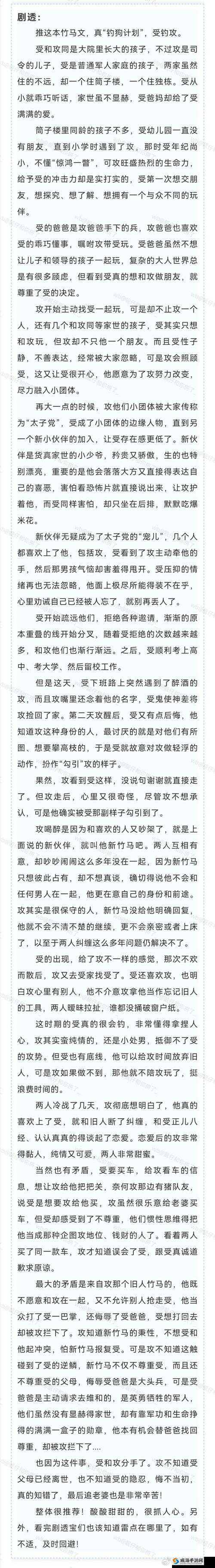车速超高废文的双男主小说:爱与速度的纠葛