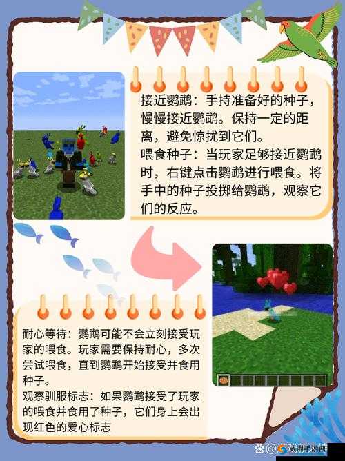 我的世界小麦种植指南:种植方法与用途解析