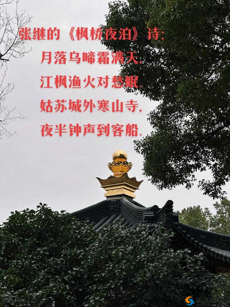 姑苏城外寒山寺探秘:云裳羽衣下的姑苏之谜与半半问答答案大全解密之旅