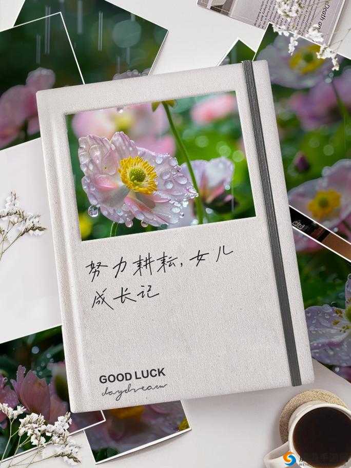 努力耕耘自己的女儿:成长记