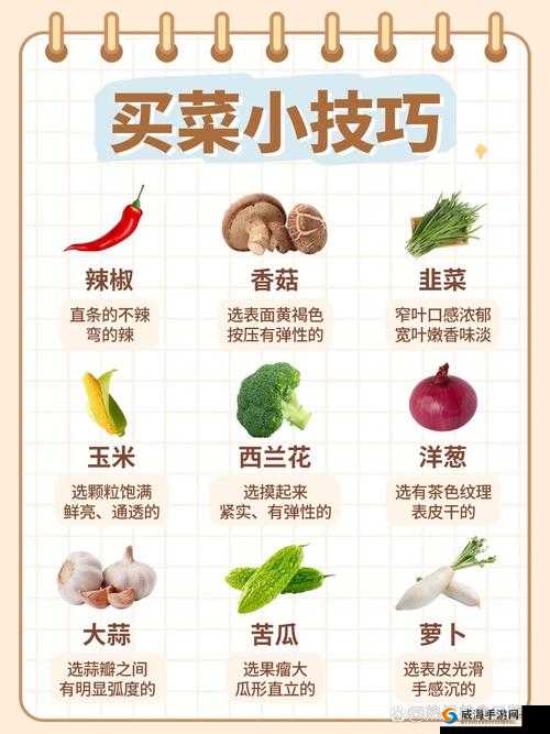 不思议迷宫凤凰冈布奥获取攻略大揭秘——详细步骤与技巧分享