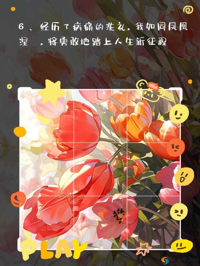 重生多肉质好的古:开启新征程