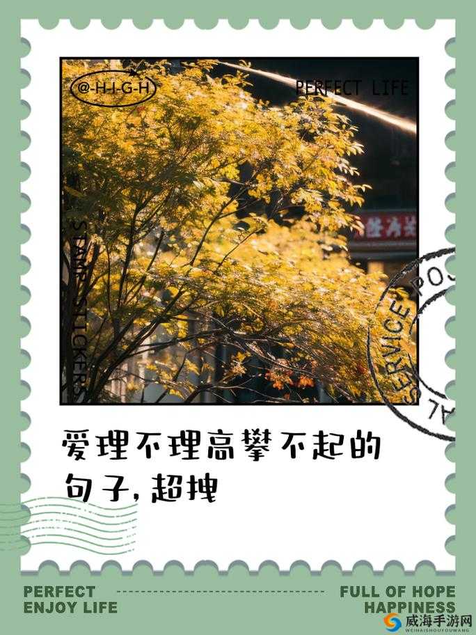 高攀 1∨1H 周时安:一段独特的经历