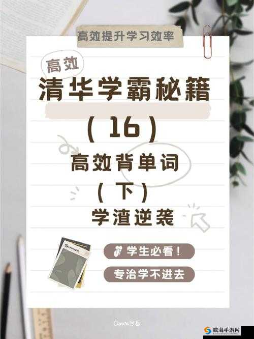 学霸助我背单词:棍子上的学习时光