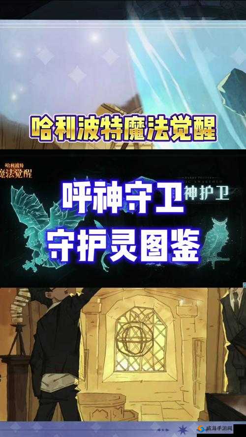 哈利波特魔法觉醒呼神护卫第章攻略秘籍:战斗策略与技巧全解析