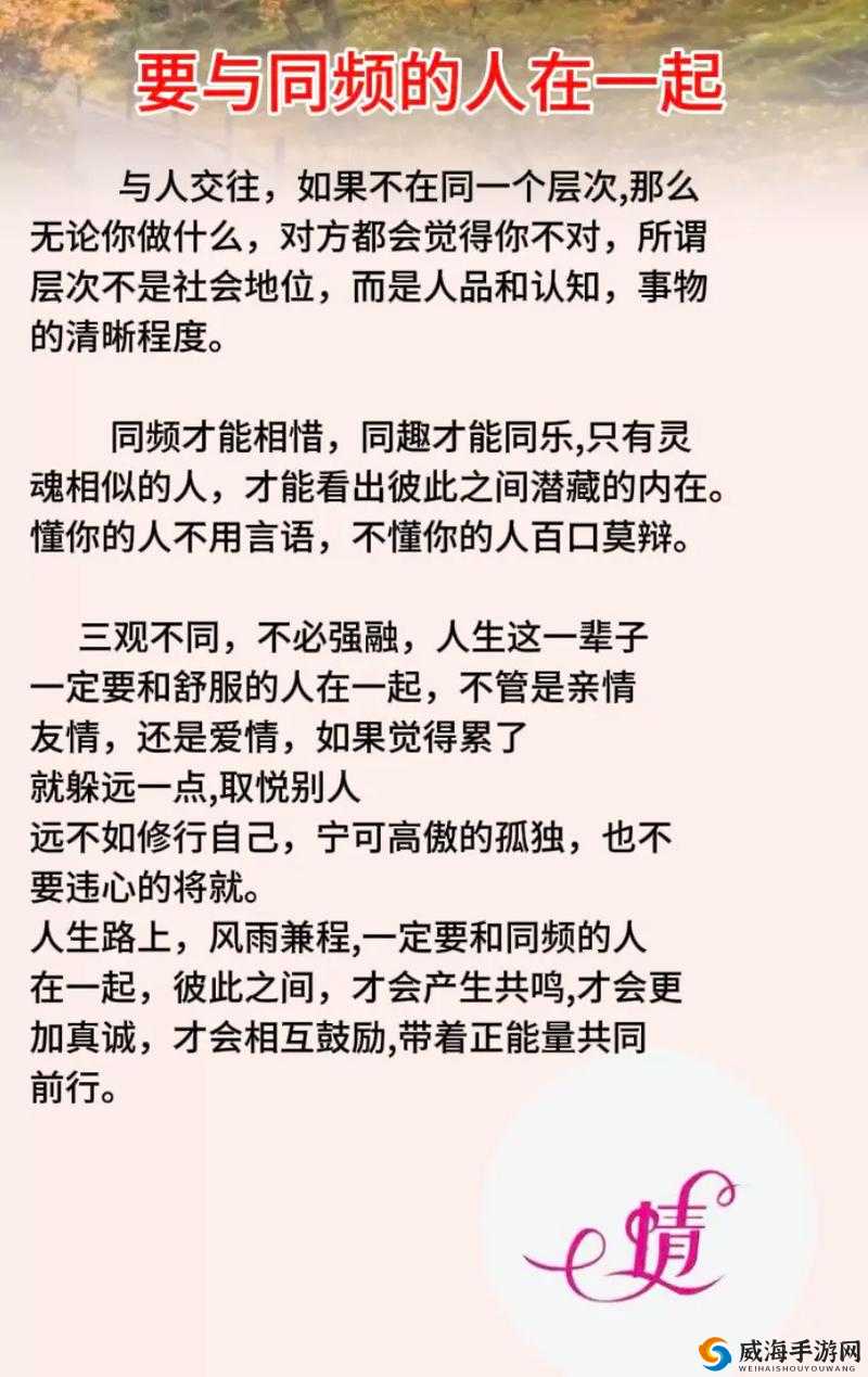 成品人和精品人的区别在哪里:深度剖析