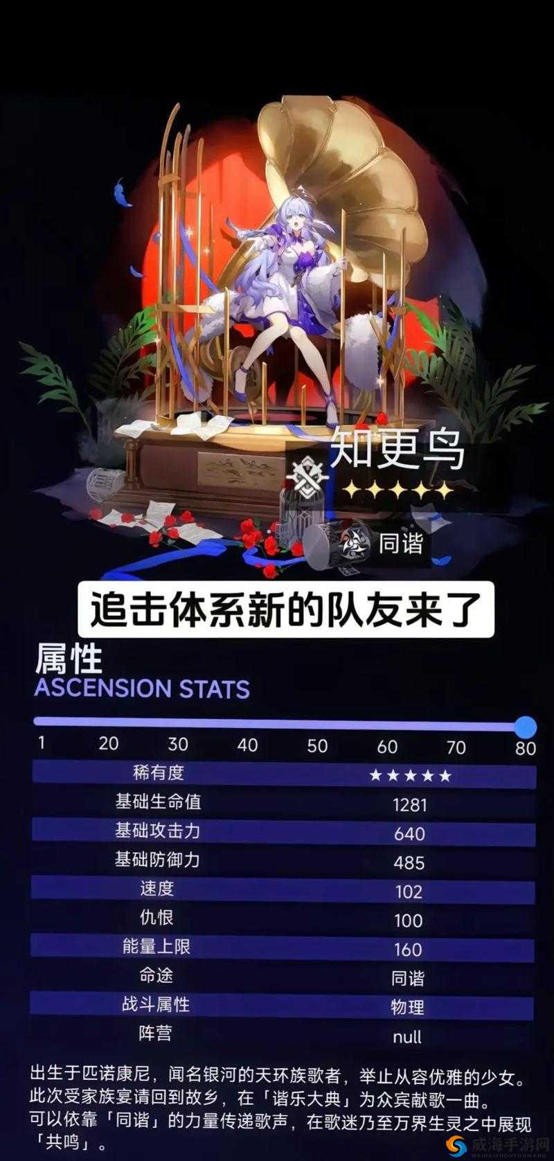 开拓者让知更鸟怀孕网站：探索自然奥秘