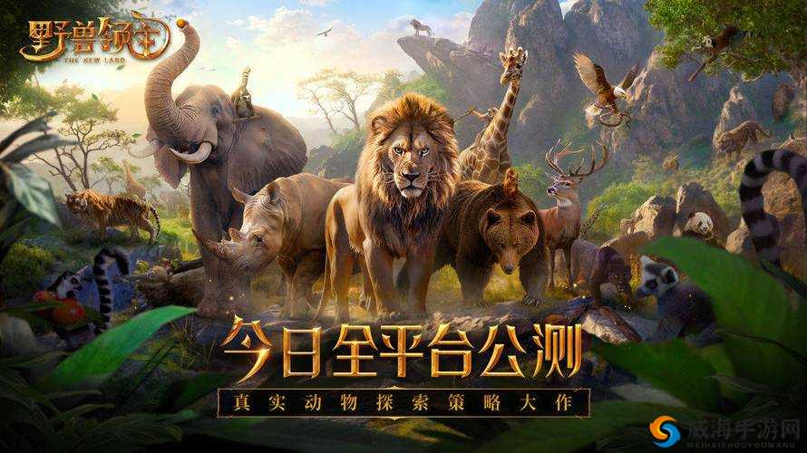 点击三秒自动进入新世界:开启奇幻之旅