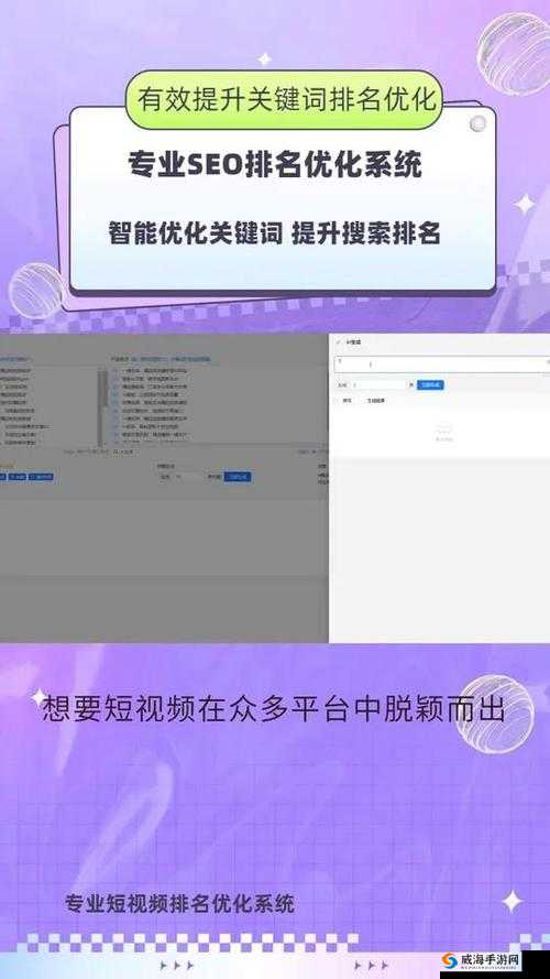 SEO 短视频网页入口网站推广:打造流量神器