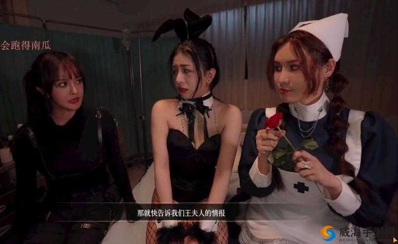 麻豆精产三产区区别分析