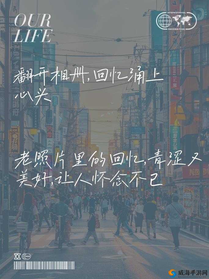 麦子地里的故事躁动的青春小说：那些年的记忆