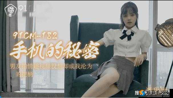 91 视频入口：成年人视频在线播放