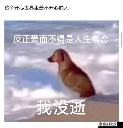 老子这几天都要憋疯了：该咋办