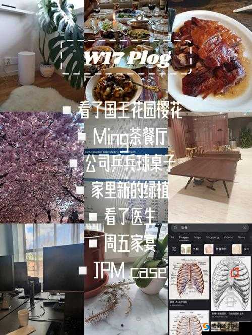 w17c18 起草：关于