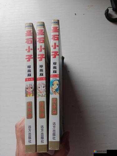 圣石小子漫画下载:经典漫画,重温童年回忆